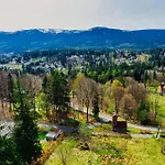 Platynowy