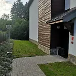 Platynowy *