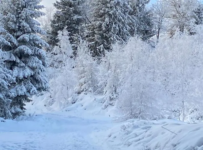 Apartment Platynowy Schreiberhau