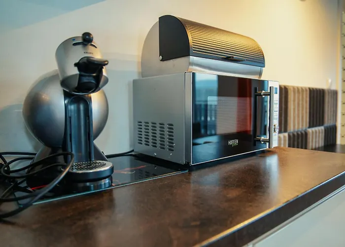 Platynowy Apartment *